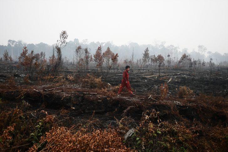 Endonezya'da 40 milyon kişi tehlikede! Orman yangınları nedeniyle hava kirliliği aşırı arttı G3