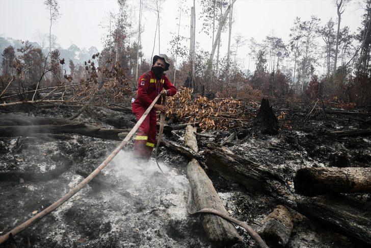 Endonezya'da 40 milyon kişi tehlikede! Orman yangınları nedeniyle hava kirliliği aşırı arttı G4