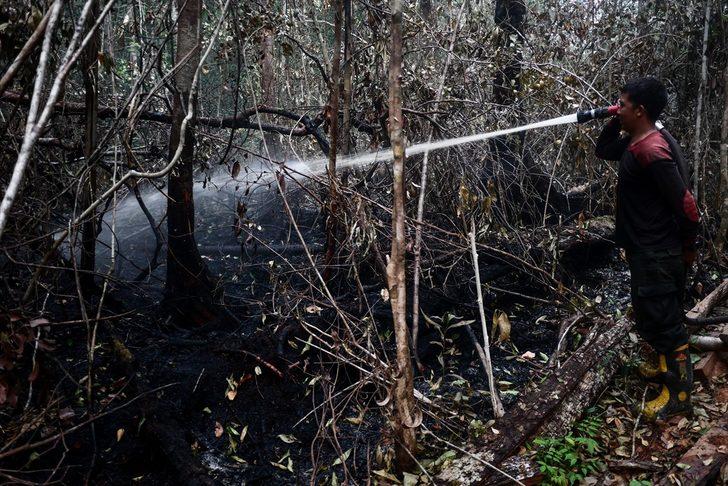 Endonezya'da 40 milyon kişi tehlikede! Orman yangınları nedeniyle hava kirliliği aşırı arttı G5