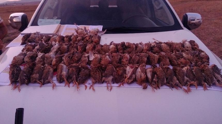 Kaçak bıldırcın avı cezasız kalmadı