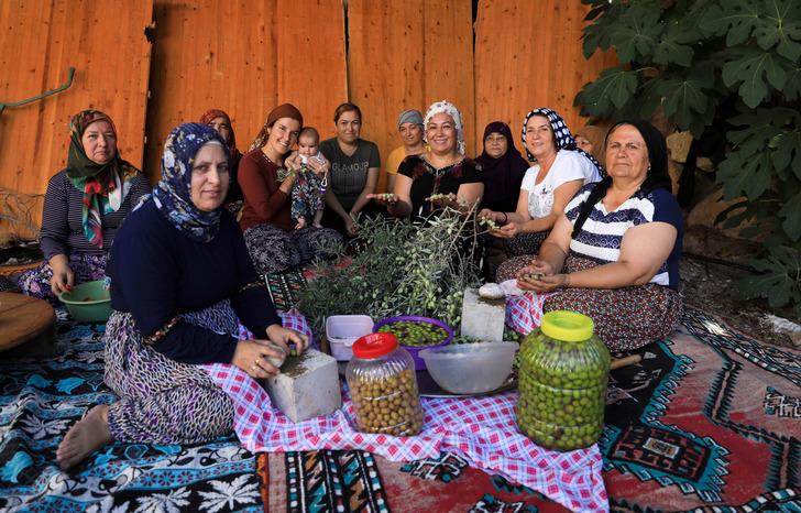 Çam kozalağı reçeli yapımı: Kışın vazgeçilmez tatlısı damakları şenlendiriyor G2
