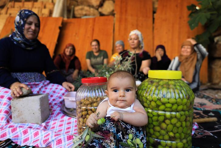 Çam kozalağı reçeli yapımı: Kışın vazgeçilmez tatlısı damakları şenlendiriyor G3