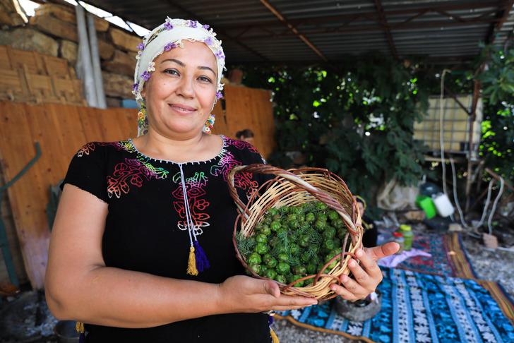 Çam kozalağı reçeli yapımı: Kışın vazgeçilmez tatlısı damakları şenlendiriyor G4