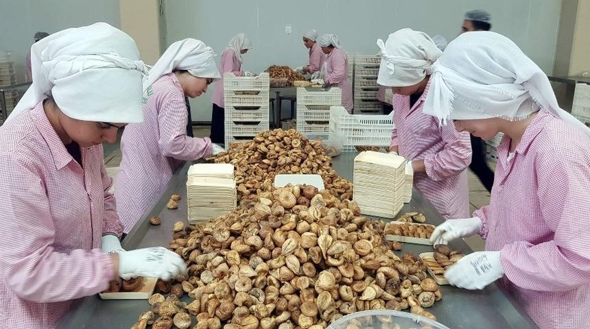 Aydın inciri, kayısı ve baklavayla beraber 2 milyar euroluk katma değer oluşturacak