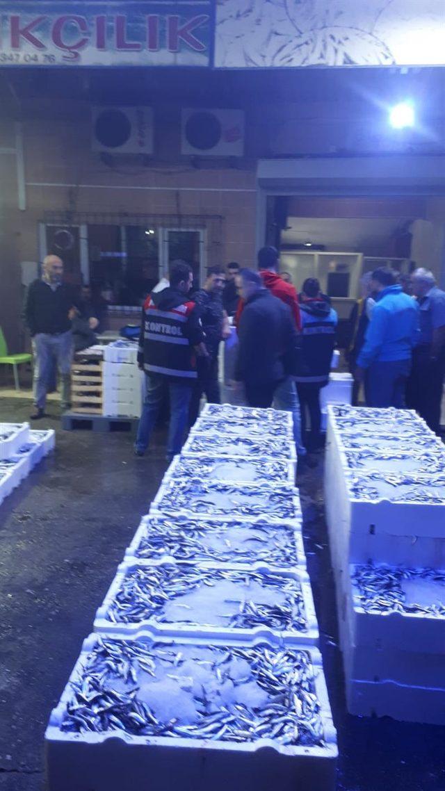 Rize'de boyları küçük 1 ton balığa el konuldu