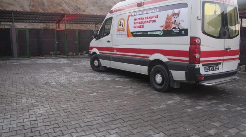 Kahta&rsquo;da hayvan barınağı faaliyete ge&ccedil;ti