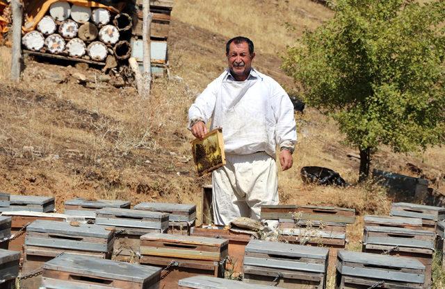 Arıcılar, dua sırasında saldıran arıların kovanının üzerine çiçek bıraktı