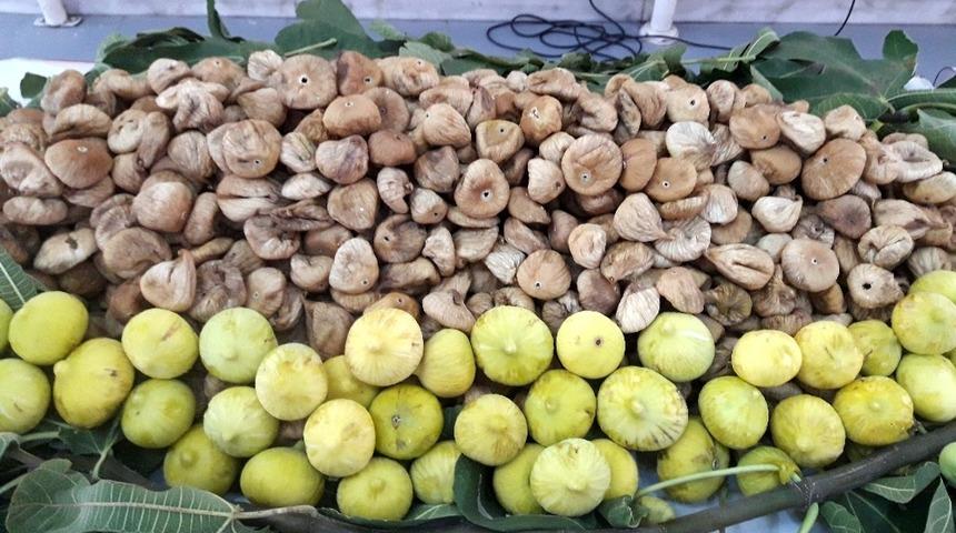 &Ccedil;in&rsquo;e 3,7 milyon dolar kuru incir ihracatı yapıldı