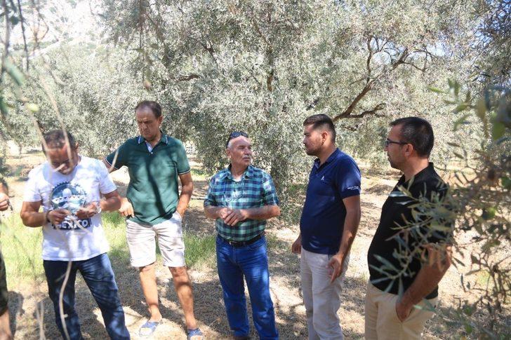 Çiftçilere zeytincilik ve narenciye yetiştiriciliği eğitimi verildi G2
