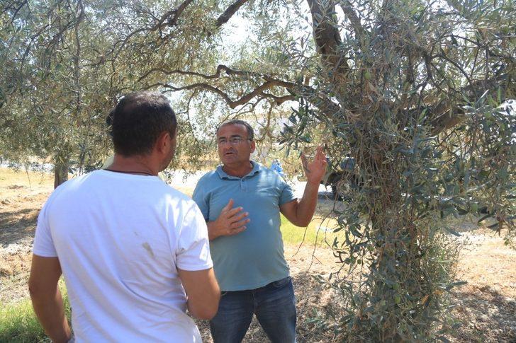 Çiftçilere zeytincilik ve narenciye yetiştiriciliği eğitimi verildi G3