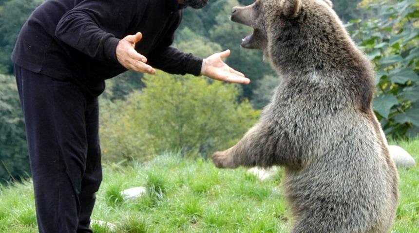 Pop&uuml;lasyonu artan ayılar i&ccedil;in 'avlansın' &ccedil;ağrısı