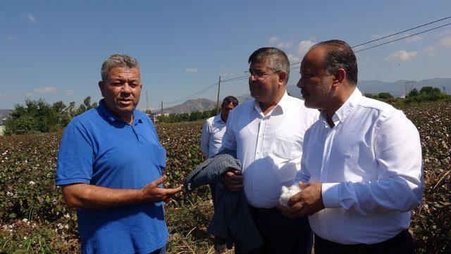 AK Parti Aydın milletvekilleri, pamuk tarlasıyla incir bahçesi gezdi