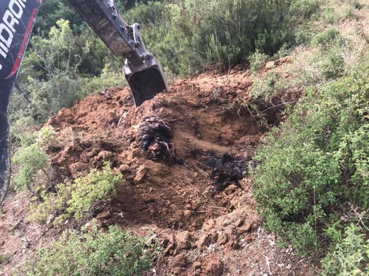 Kötü koku ihbarıyla ortaya çıktı! Binlercesi böyle bulundu G1