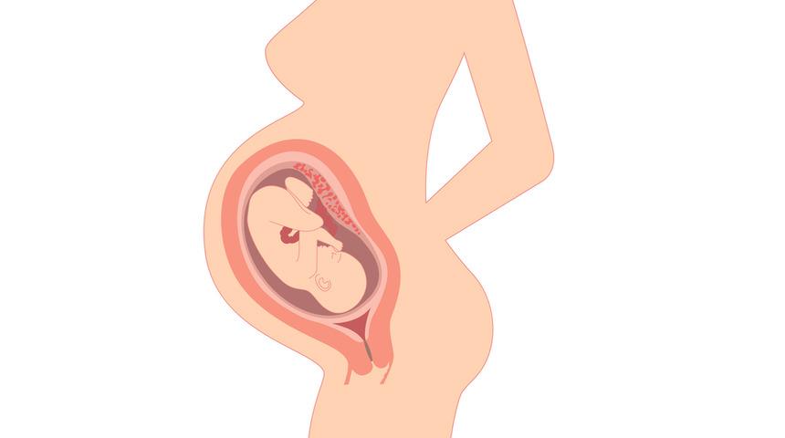 Hava kirliliği anne karnına kadar ulaştı! Zeka geriliğine bile neden olabilir