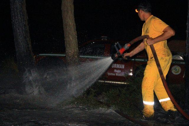 Muğla’da orman yangını