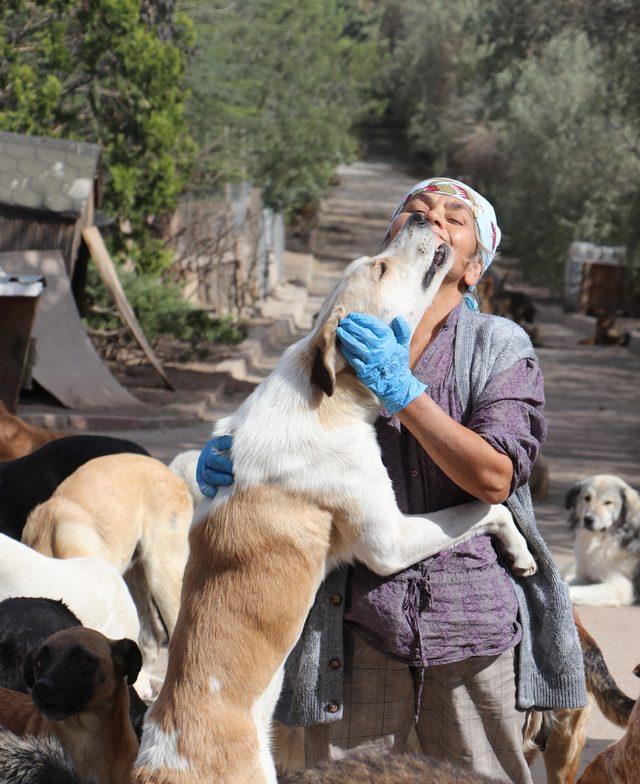 Bakımını yaptığı köpekleri, sözleşme ile sahiplendiriyor