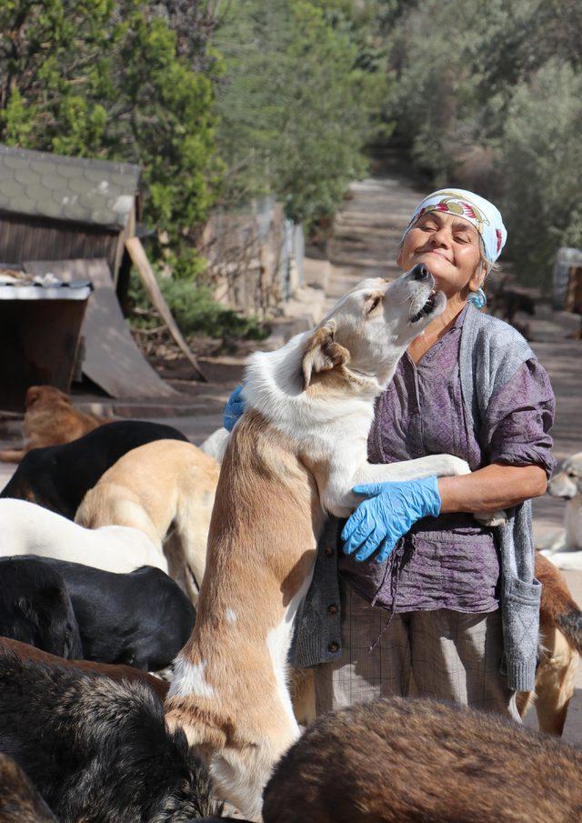 Bakımını yaptığı köpekleri, sözleşme ile sahiplendiriyor