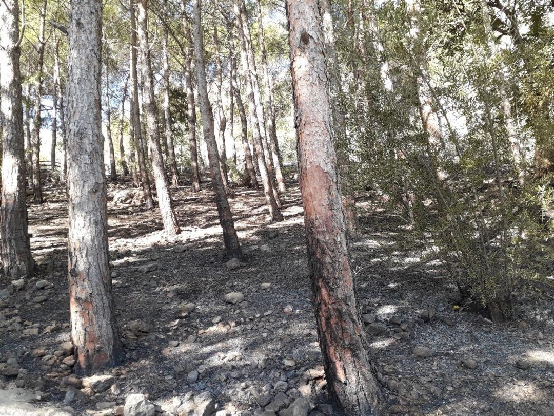 Tarihi Kozan Kalesi&rsquo;ndeki yangında 3 dekar alan zarar g&ouml;rd&uuml;