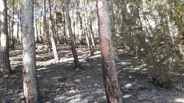 Tarihi Kozan Kalesi’ndeki yangında 3 dekar alan zarar gördü