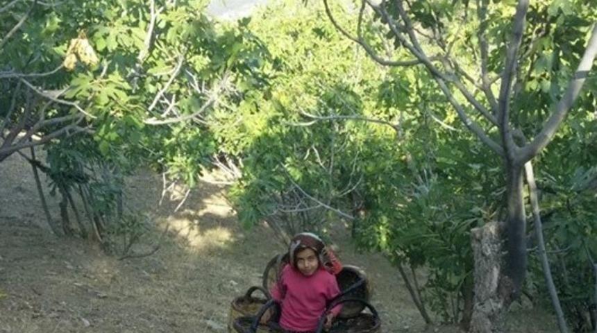 Elif’in maşallahı var