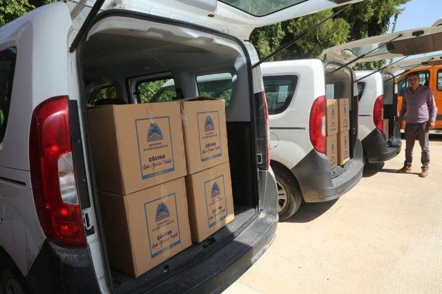 Kuş, Çölyak hastalarının yanında 2