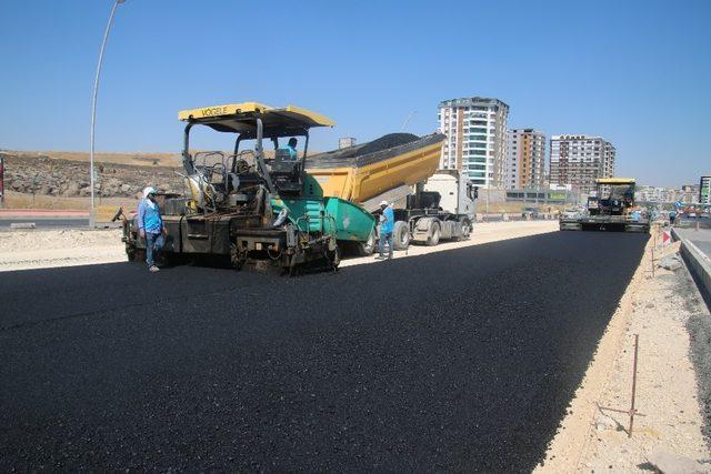 Şanlıurfa Beyazgül ile çağ atlıyor