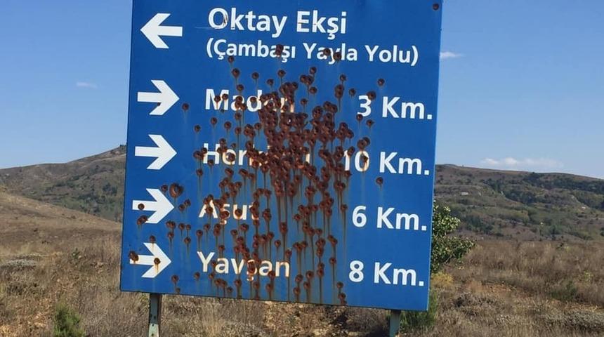 Ordu&rsquo;da tabelalara &lsquo;maganda&rsquo; kurşunu