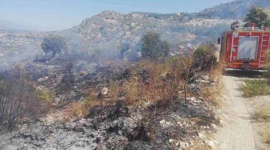 Samandağ’da bitki örtüsü yangını