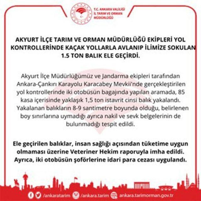 Ankara’da 1,5 ton kaçak balık ele geçirildi