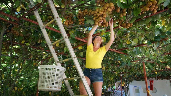 Hayatlarında ilk kez gördüler! İşte Rus turistlerin yeni eğlencesi G1