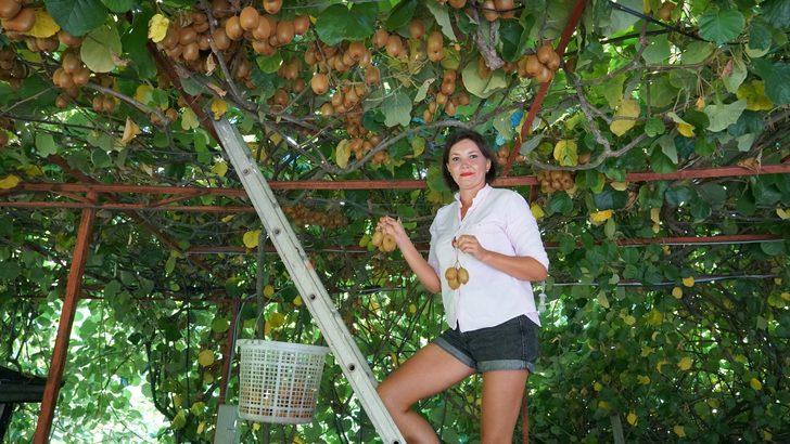 Hayatlarında ilk kez gördüler! İşte Rus turistlerin yeni eğlencesi G2