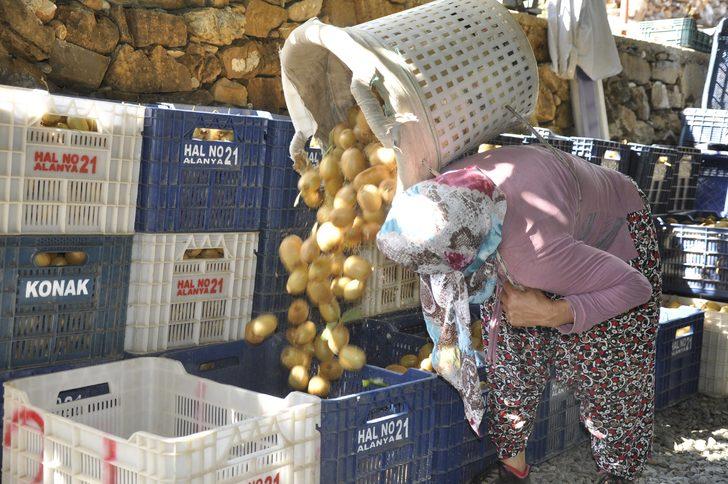 Hayatlarında ilk kez gördüler! İşte Rus turistlerin yeni eğlencesi G5