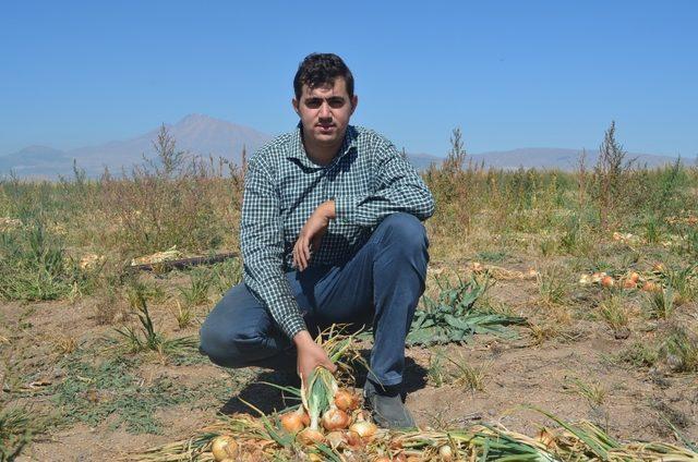 Kayseri’de ilk defa soğan eken çiftçi Yılmaz: 