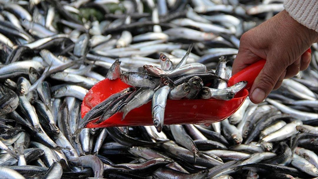 Bug&uuml;n en y&uuml;ksek fiyatını g&ouml;rd&uuml;, esnaf bir daha fiyatı d&uuml;şmez dedi! Kilosu 150 lira ama stresi azaltıyor