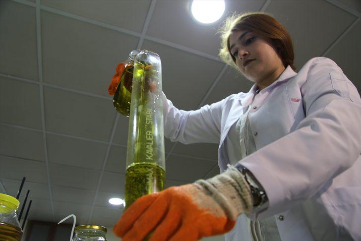 Şanlıurfa isotundan sabun yapıldı G2