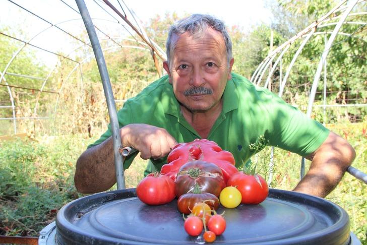 Bir buçuk dönüm alanda bin bir çeşit ürün yetiştiriyor! Görüntüler şaşırtıyor G1