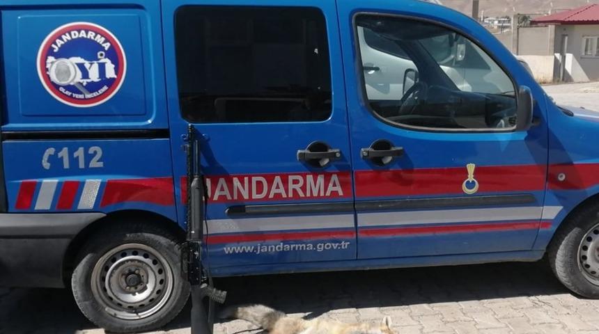 &Ccedil;aldıran&rsquo;da ka&ccedil;ak Tilki avlayan şahsa 2 bin 20 lira ceza