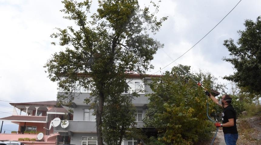 Konuralp b&ouml;lgesinde ila&ccedil;lama &ccedil;alışması