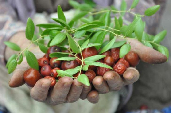 Bahçesinde yetiştirdi, belediyeden desteği kaptı! G4