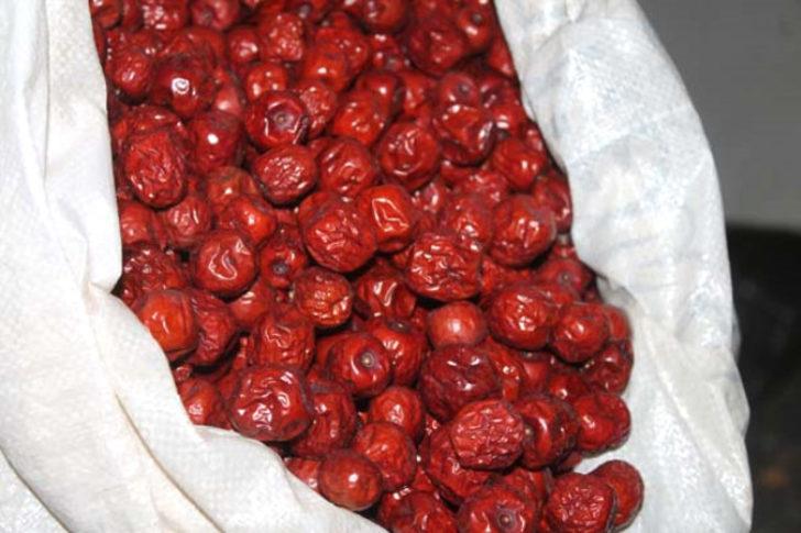 Bahçesinde yetiştirdi, belediyeden desteği kaptı! G5