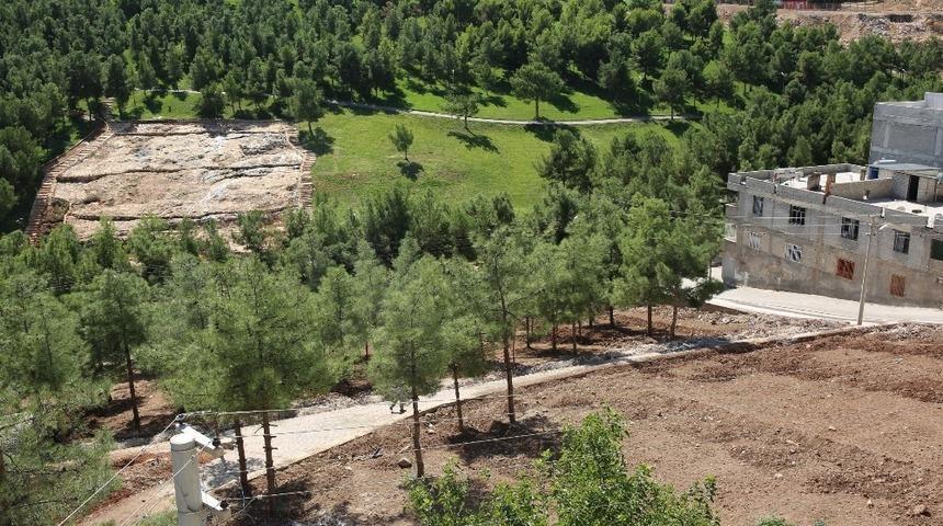 Eyyübiye’de 20 bin metrekarelik yeşil alan projesi