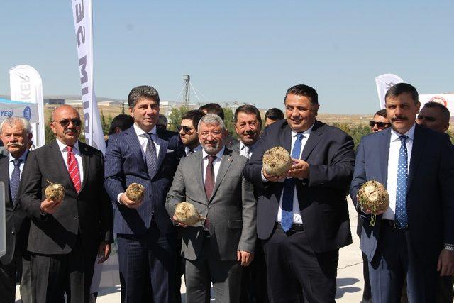 Çorum Şeker’de yeni üretim sezonu başladı