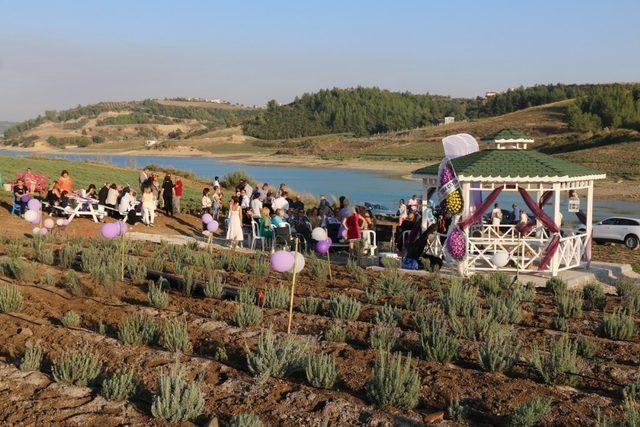 Adana’da lavanta üretimi artıyor