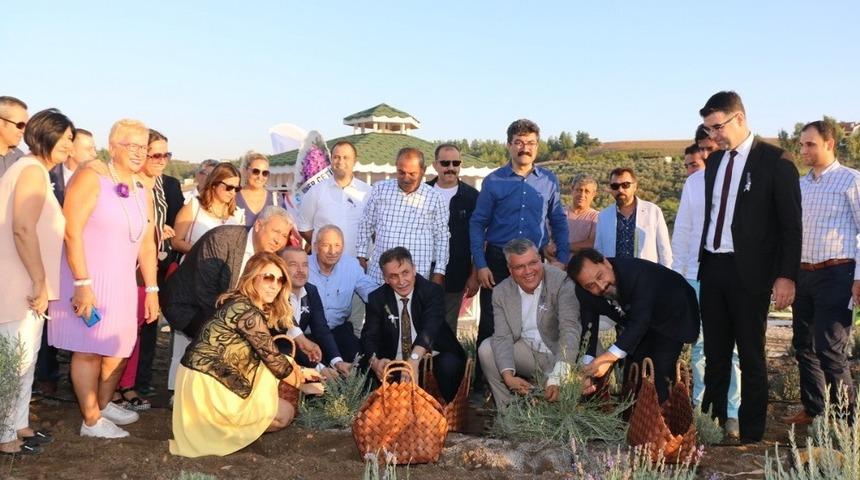 Adana&rsquo;da lavanta &uuml;retimi artıyor