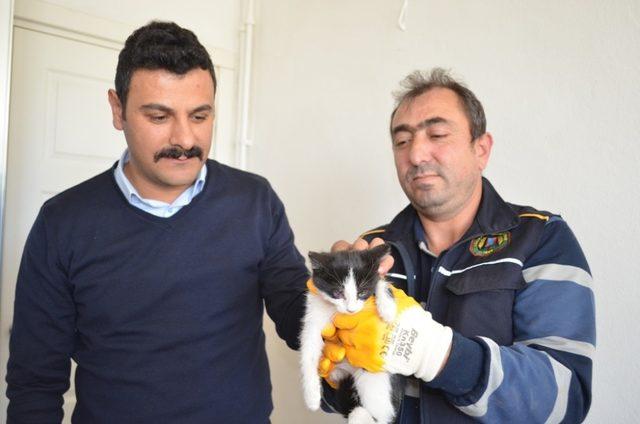 Ağaçta mahsur kalan yavru kedi itfaiye ekiplerince kurtarıldı