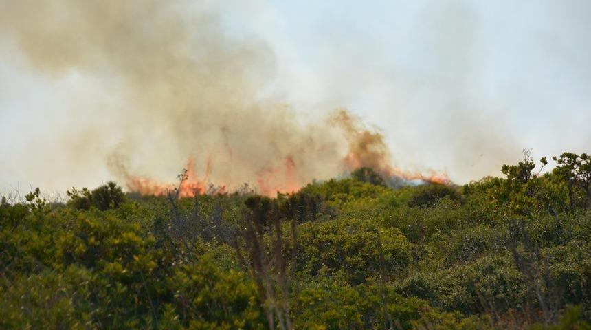Didim&rsquo;de 60 d&ouml;n&uuml;ml&uuml;k makilik alan yandı