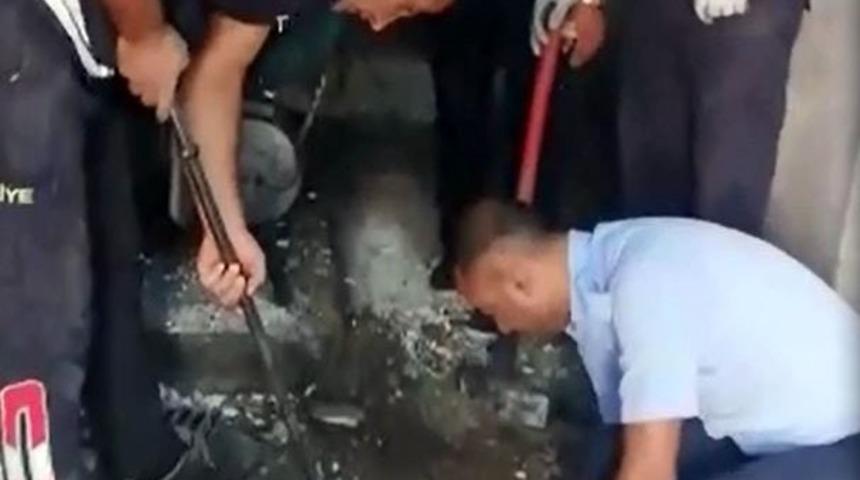 Yavru kedi mahsur kaldığı yerden saatler sonra &ccedil;ıkarılabildi