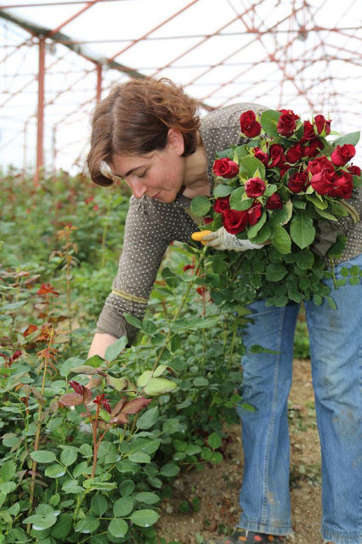 Atıl araziyi düzenlediler, 50 bin lira kazandılar! G5