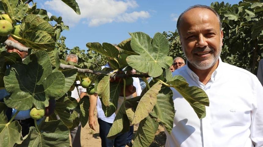 Milletvekili Yavuz&rsquo;dan incir &uuml;reticisine uyarı