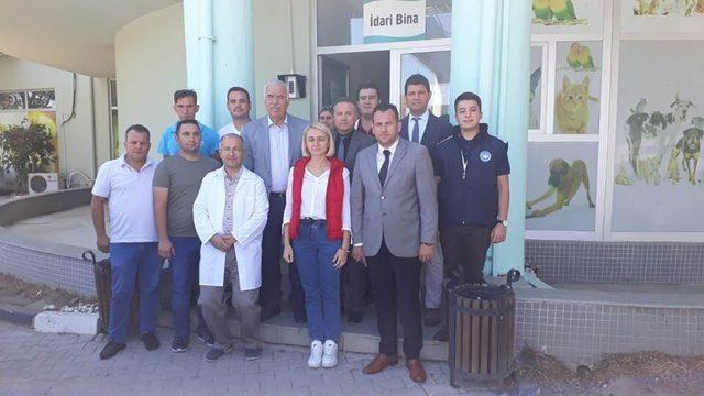 Manisa’da bakıma muhtaç hayvanlar güvenli ellerde